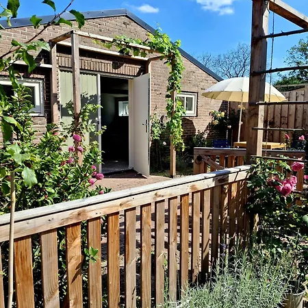 Boerderij Beddengoed 벨트호벤