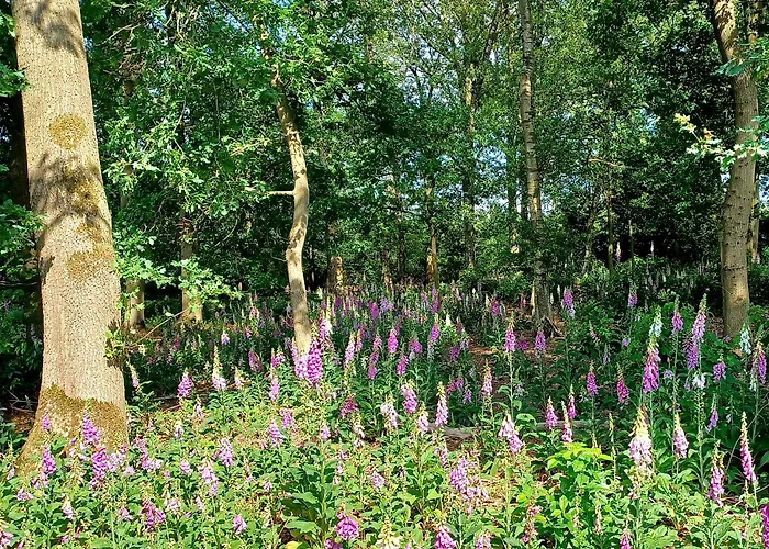 Couette-café Boerderij Beddengoed Veldhoven