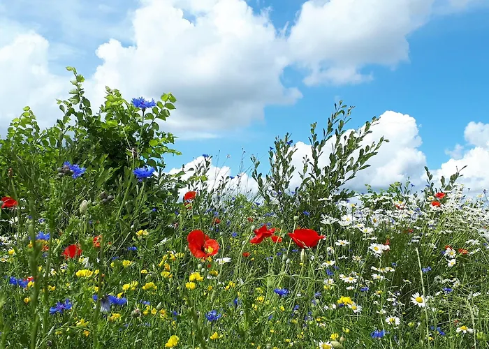 Boerderij Beddengoed Couette-café 3*